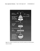 METHOD FOR CREATING BROAD-SPECTRUM RESISTANCE TO FUNGI IN TRANSGENIC PLANTS diagram and image