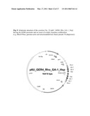 METHOD FOR CREATING BROAD-SPECTRUM RESISTANCE TO FUNGI IN TRANSGENIC PLANTS diagram and image