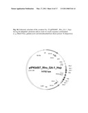 METHOD FOR CREATING BROAD-SPECTRUM RESISTANCE TO FUNGI IN TRANSGENIC PLANTS diagram and image