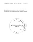 METHOD FOR CREATING BROAD-SPECTRUM RESISTANCE TO FUNGI IN TRANSGENIC PLANTS diagram and image