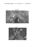 Development of Very Early Flowering and Normal Fruiting Plum With Fertile Seeds diagram and image