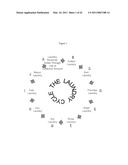 TREATMENT OF NON-TRANS FATS, FATTY ACIDS AND SUNSCREEN STAINS WITH A CHELATING AGENT diagram and image