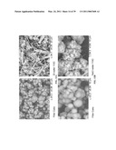 Methods and compositions using calcium carbonate diagram and image