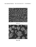 Methods and compositions using calcium carbonate diagram and image