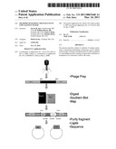 METHODS OF RAISING CRUSTACEANS IN LOW SALINITY WATER diagram and image