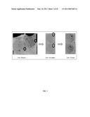 METHODS OF RAISING CRUSTACEANS IN LOW SALINITY WATER diagram and image