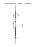 METHODS OF RAISING CRUSTACEANS IN LOW SALINITY WATER diagram and image