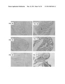 METHODS OF RAISING CRUSTACEANS IN LOW SALINITY WATER diagram and image