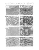 METHODS OF RAISING CRUSTACEANS IN LOW SALINITY WATER diagram and image