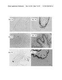 METHODS OF RAISING CRUSTACEANS IN LOW SALINITY WATER diagram and image