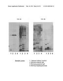 METHODS OF RAISING CRUSTACEANS IN LOW SALINITY WATER diagram and image