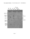 METHODS OF RAISING CRUSTACEANS IN LOW SALINITY WATER diagram and image