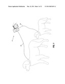 Non-Tangle dual animal extending leash device diagram and image