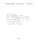 MULTI-WAVELENGTH FLUORESCENCE DETECTION SYSTEM FOR MULTIPLEXED CAPILLARY ELECTROPHORESIS diagram and image