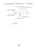 MULTI-WAVELENGTH FLUORESCENCE DETECTION SYSTEM FOR MULTIPLEXED CAPILLARY ELECTROPHORESIS diagram and image