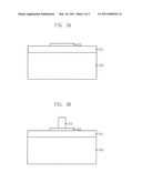 SCHOTTKY BARRIER TUNNEL TRANSISTOR AND METHOD FOR FABRICATING THE SAME diagram and image