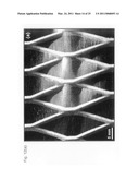 Stimuli responsive liquid crystal-polymer composite fibers diagram and image