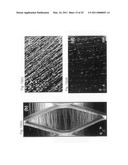 Stimuli responsive liquid crystal-polymer composite fibers diagram and image