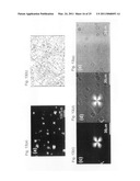 Stimuli responsive liquid crystal-polymer composite fibers diagram and image