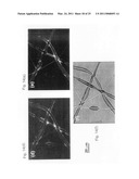 Stimuli responsive liquid crystal-polymer composite fibers diagram and image