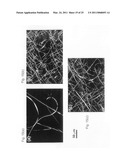 Stimuli responsive liquid crystal-polymer composite fibers diagram and image