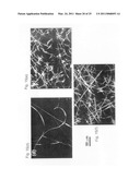 Stimuli responsive liquid crystal-polymer composite fibers diagram and image