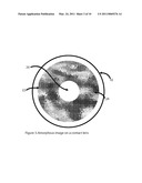 COLORED CONTACT LENS BASED ON AMORPHOUS IMAGES diagram and image