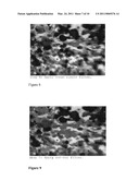 COLORED CONTACT LENS BASED ON AMORPHOUS IMAGES diagram and image