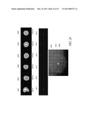 HIGHLY RARE-EARTH-DOPED OPTICAL FIBERS FOR FIBER LASERS AND AMPLIFIERS diagram and image