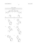 HEPATITIS C VIRUS INHIBITORS diagram and image