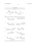 HEPATITIS C VIRUS INHIBITORS diagram and image