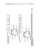 MULTIPOTENT STEM CELLS AND USES THEREOF diagram and image