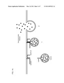 Methods of Treating Cancer Using Glucagon-Like Hormone Retargeted Endopeptidases diagram and image