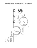 Methods of Treating Cancer Using Glucagon-Like Hormone Retargeted Endopeptidases diagram and image