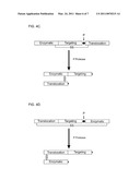 METHODS OF TREATING CANCER USING NEUROTROPHIN RETARGETED ENDOPEPTIDASES diagram and image