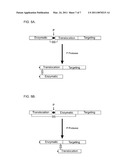 METHODS OF TREATING CANCER USING NEUROTROPHIN RETARGETED ENDOPEPTIDASES diagram and image