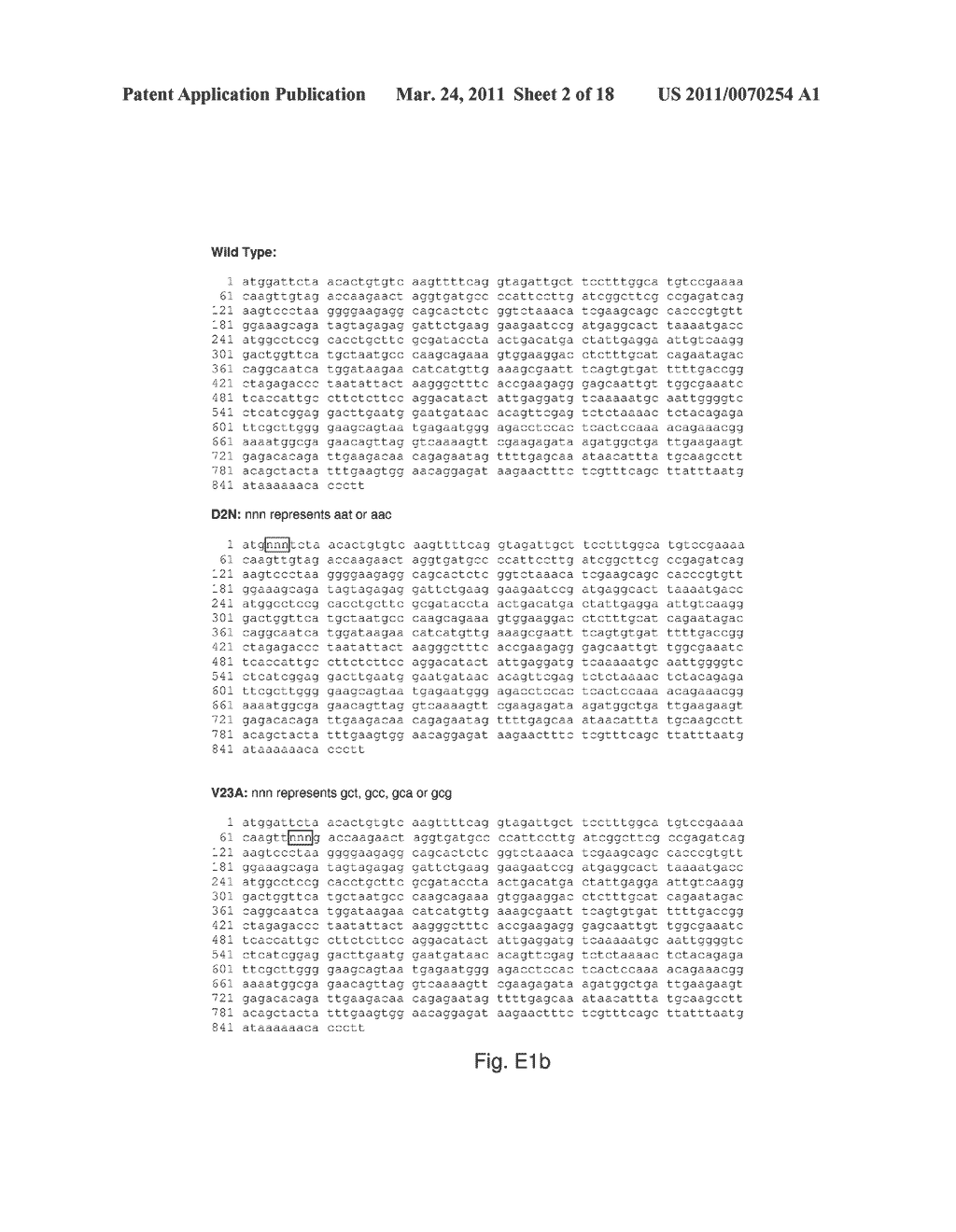 MUTATIONS IN THE INFLUENZA A VIRUS NS1 GENE AND USE THEREOF - diagram, schematic, and image 03