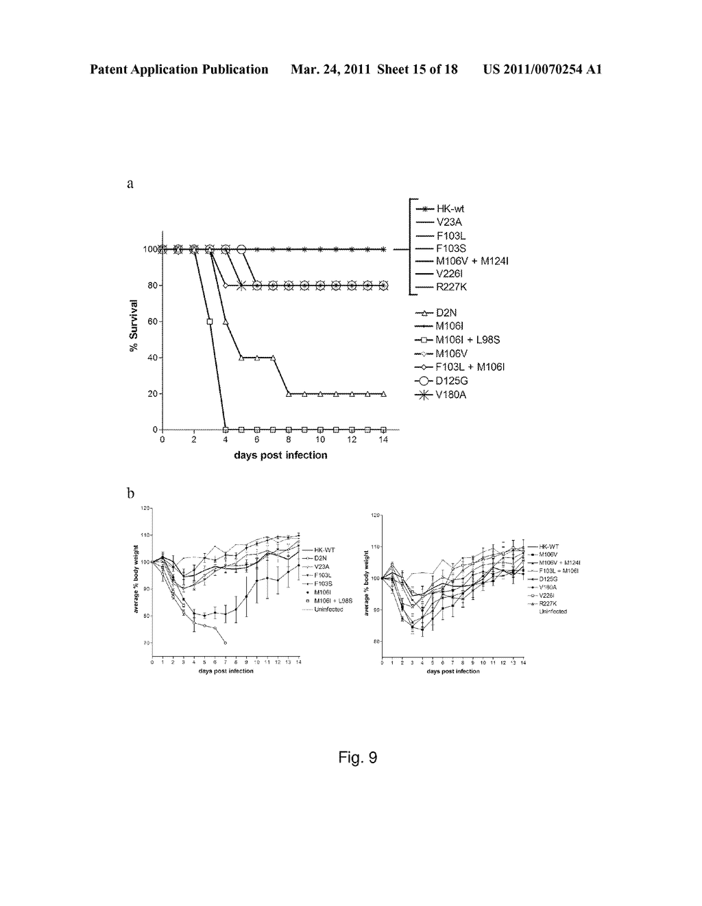 MUTATIONS IN THE INFLUENZA A VIRUS NS1 GENE AND USE THEREOF - diagram, schematic, and image 16