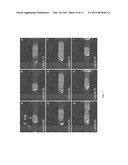 Artificial Organelle On A Digital Microfluidic Chip Used To Redesign The Biological Activities of Heparan Sulfate diagram and image