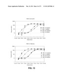 Multiplex Detection Of Agricultural Pathogens diagram and image