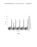 Multiplex Detection Of Agricultural Pathogens diagram and image