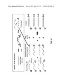 Multiplex Detection Of Agricultural Pathogens diagram and image