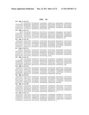 Compositions and Methods Relating to Anti-IGF-1 Receptor Antibodies diagram and image