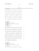 Compositions and Methods Relating to Anti-IGF-1 Receptor Antibodies diagram and image