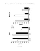 SELF-INACTIVATING HELPER ADENOVIRUSES FOR THE PRODUCTION OF HIGH-CAPACTIY RECOMBINANT ADENOVIRUSES diagram and image