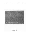 Thermal cycler diagram and image