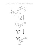 RAMAN-ACTIVE REAGENTS AND THE USE THEREOF diagram and image