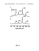 RAMAN-ACTIVE REAGENTS AND THE USE THEREOF diagram and image