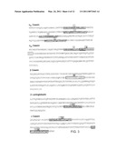 Methods For Characterizing Antibody Binding Affinity And Epitope Diversity in Food Allergy diagram and image