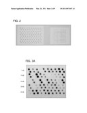 PROMOTER DETECTION AND ANALYSIS diagram and image